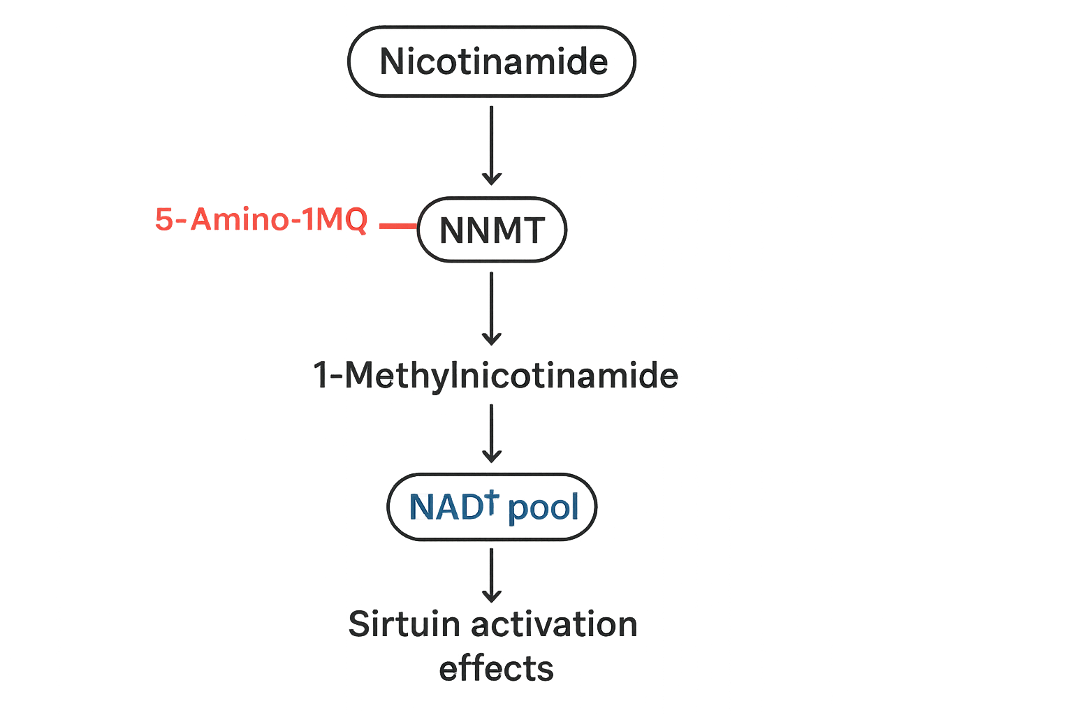 Tissue distribution of NNMT expression, highlighting higher levels in adipose compared with liver