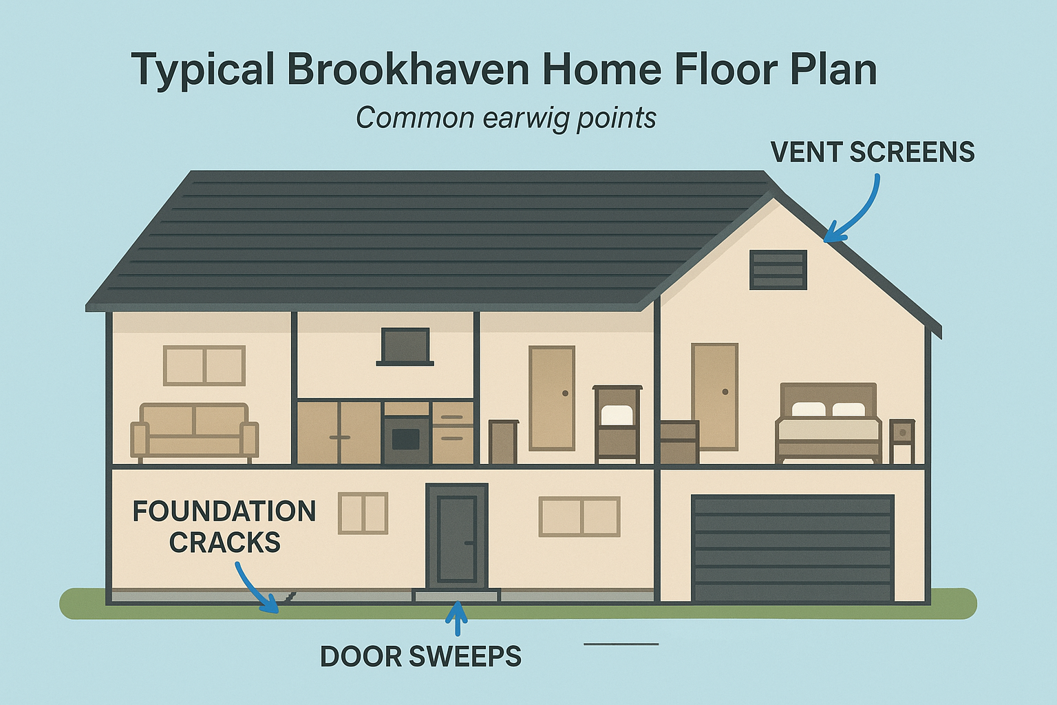 Illustrated floor plan showing common earwig entry points in a Brookhaven home