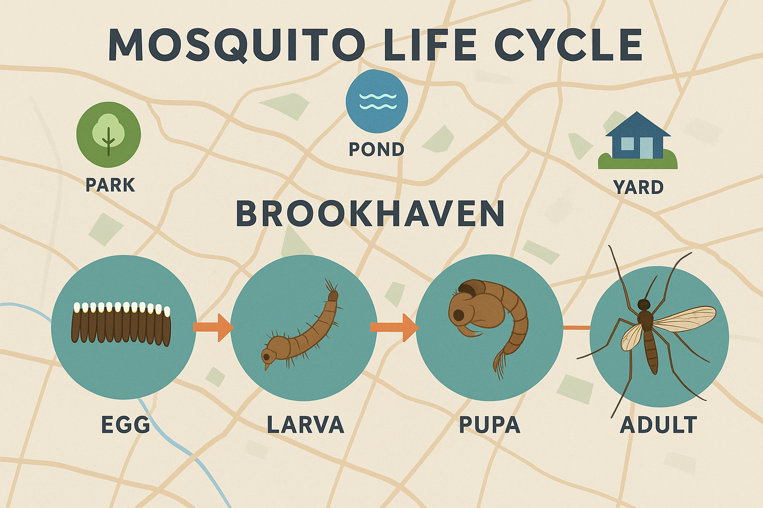 Mosquito Inspection Brookhaven, GA