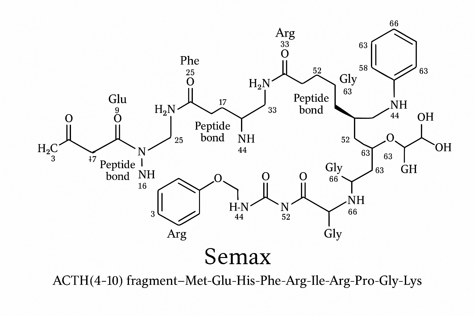 Diagram of Semax binding to MC4R and downstream cAMP‑CREB‑BDNF signaling pathway