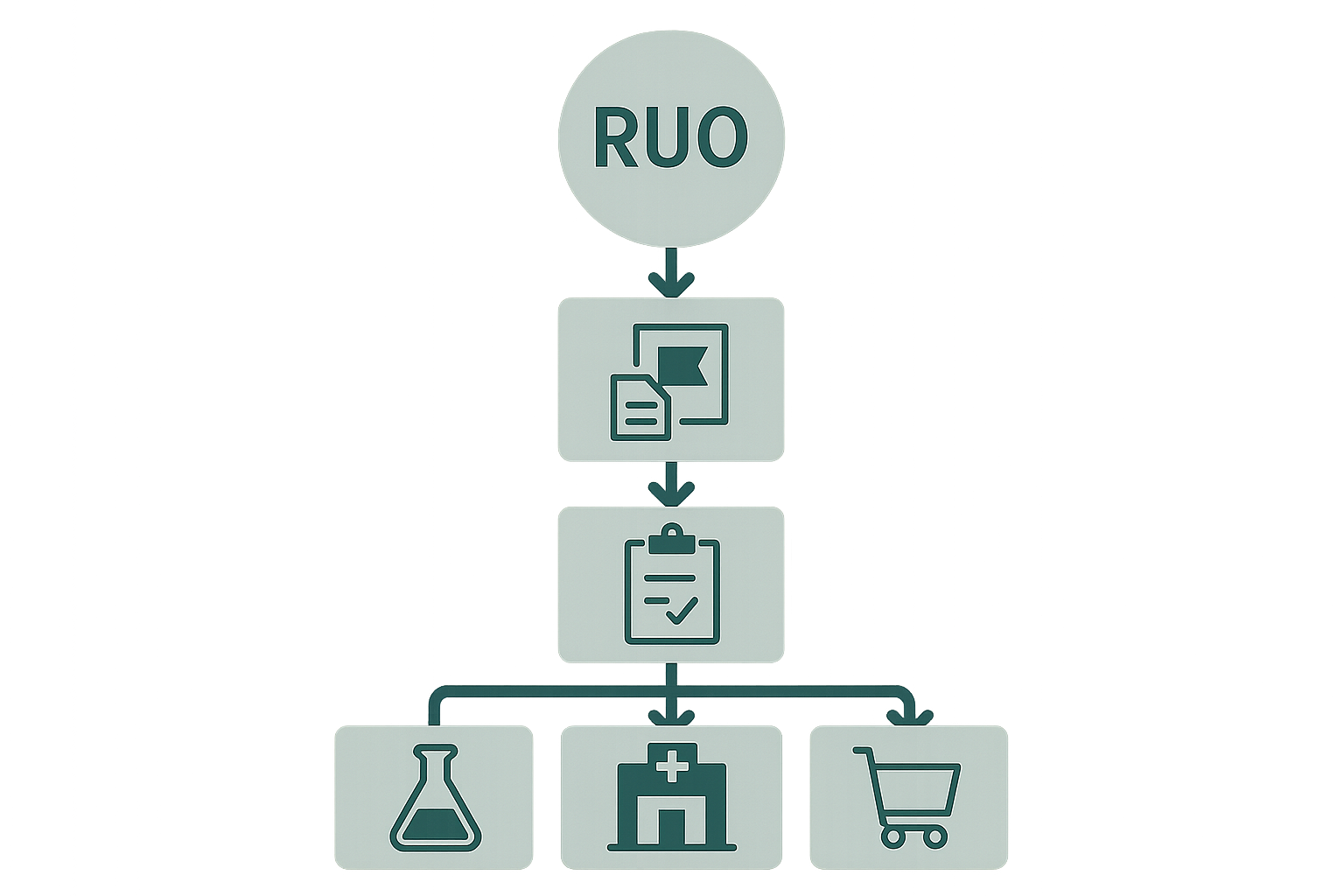 Flowchart illustrating the RUO regulatory process from product concept to distribution