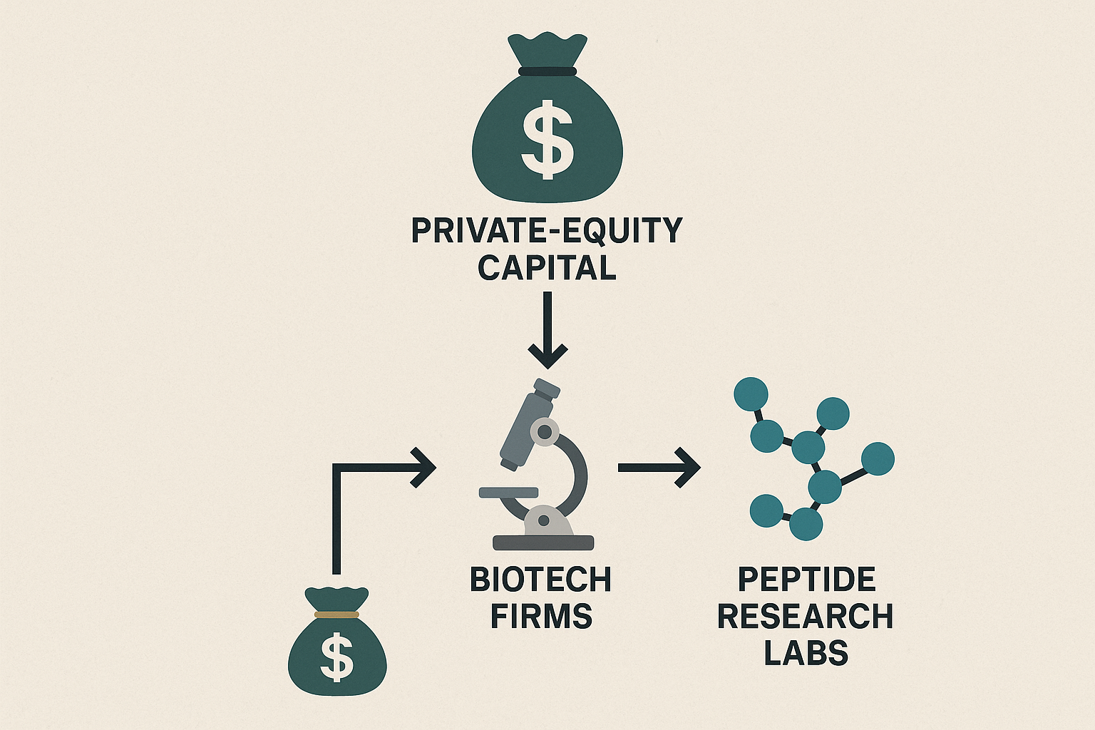 Flowchart showing private‑equity capital moving to biotech holding companies and then to peptide research subsidiaries