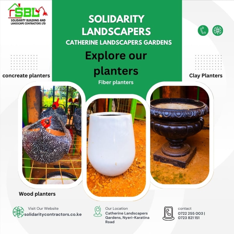Modern Concrete Planters