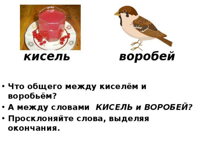 кисель воробей Что общего между киселём и воробьём? А между словами КИСЕЛЬ и ВОРОБЕЙ? Просклоняйте слова, выделяя окончания.