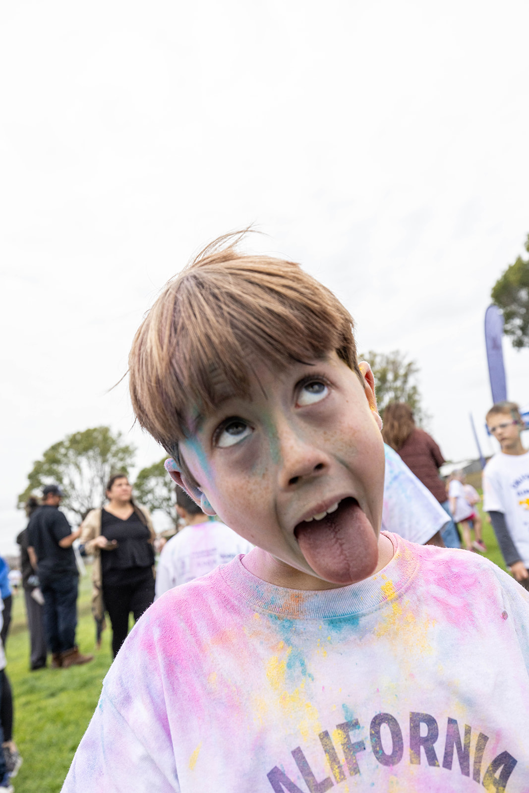 Color Run - QUICK SELECTS