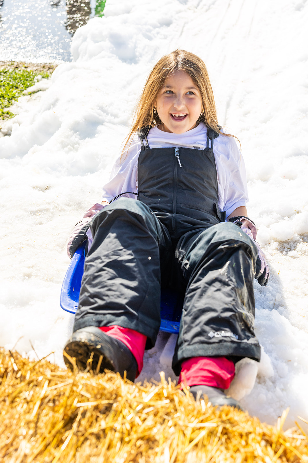 Snow Day