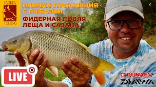 Жизнь жен и дочерей олигархов в России