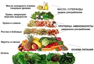 Что должно входить в рацион начинающих сыроедов Перечень продуктов рациона начинающих сыроедов