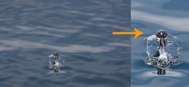 Сергей Доля. Как я обрабатываю фотографии. Сергей Доля. Как я обрабатываю фотографии.