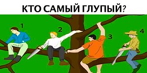 Тест: Кто самый глупый на дереве? Сделайте выбор, а мы проведём психологический анализ вашей личности