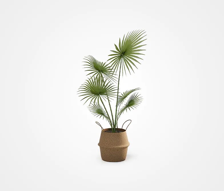Artificial plants crafted from PU with plastic basin.