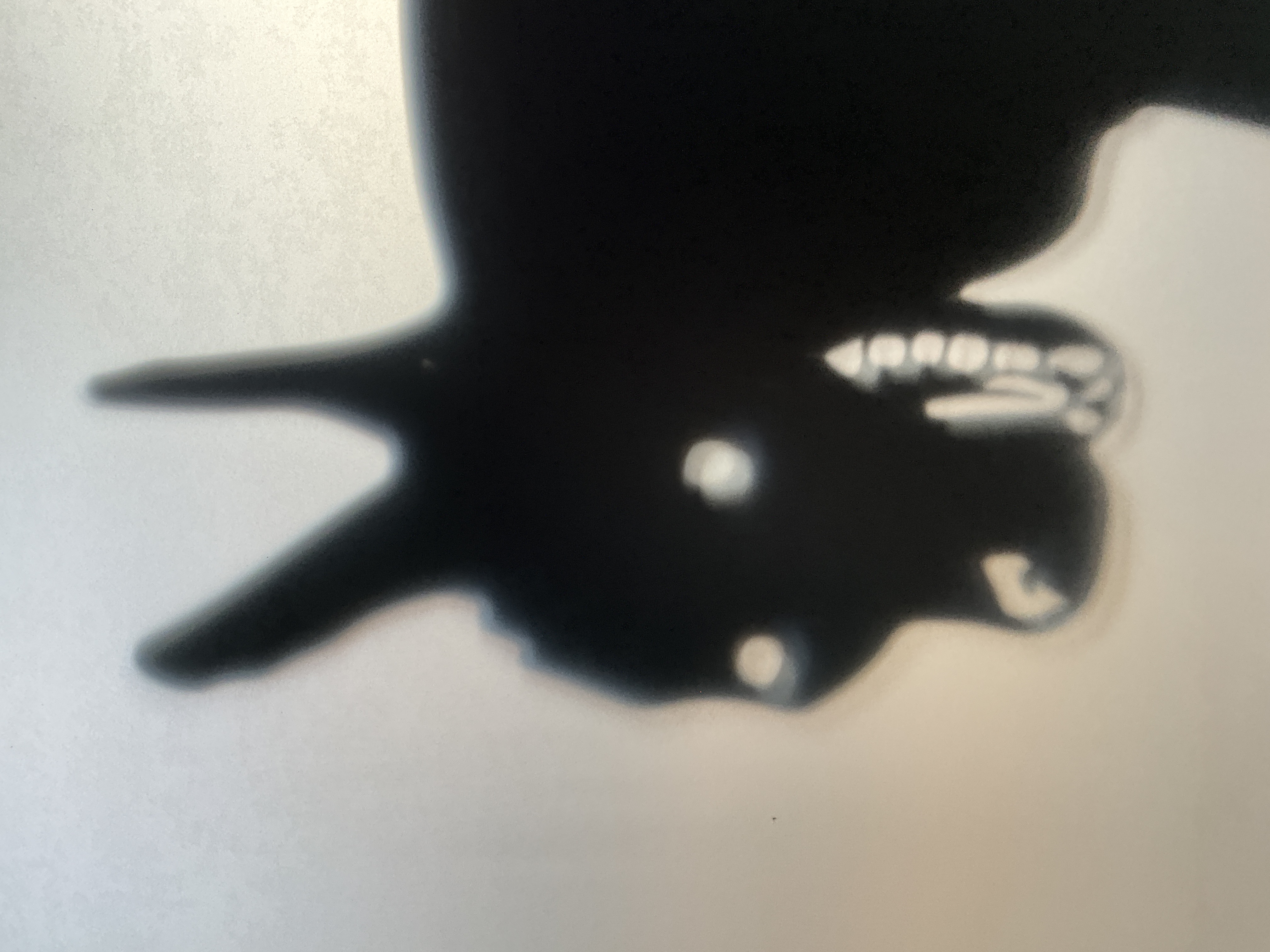 Stefano Guerrini Avatar