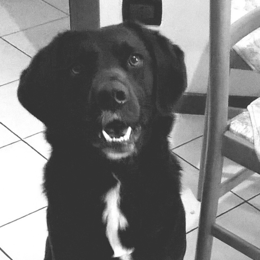 Eleonora  Toma Avatar