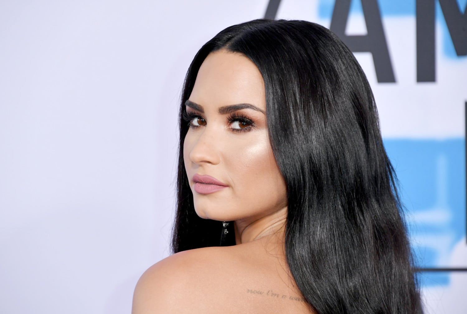 2017 American Music Awards - Arrivals by Neilson Barnard / Getty Images Entertainment demi lovato photo