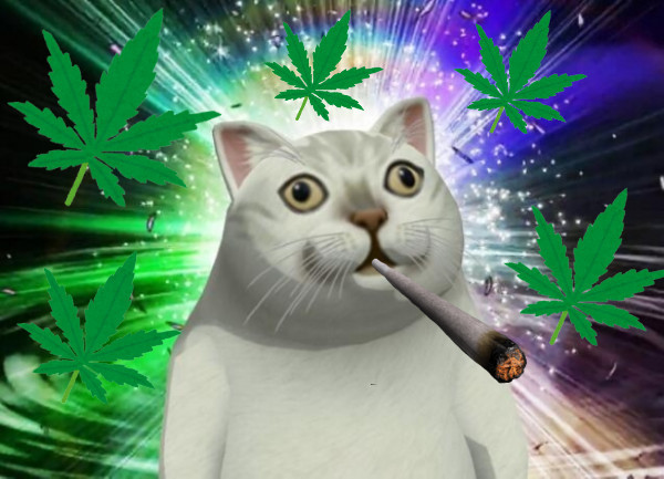 selected venue's interior or exterior images