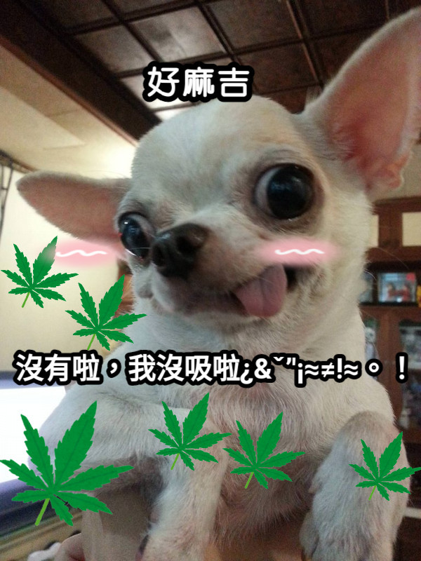 selected venue's interior or exterior images