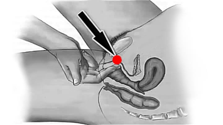 Как стимулировать точку G у женщины (фото)
