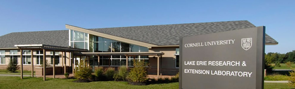 Како Cornell Cooperative Extension ја трансформира науката во земјоделска практика