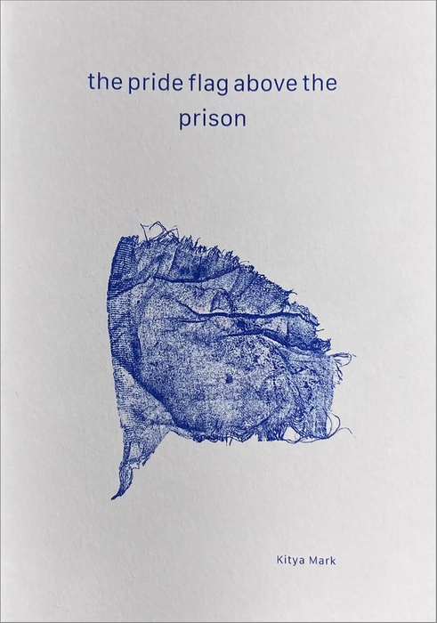 The Pride Flag Above the Prison magazine cover
