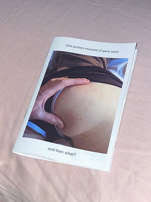 One Perfect Moment of Pure Want magazine cover