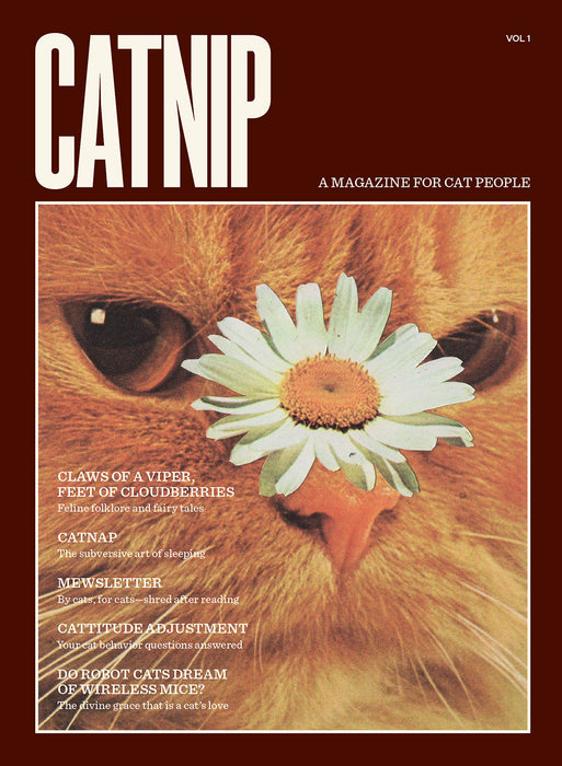 Catnip magazine cover