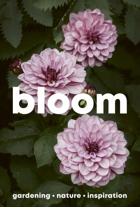 Bloom magazine cover