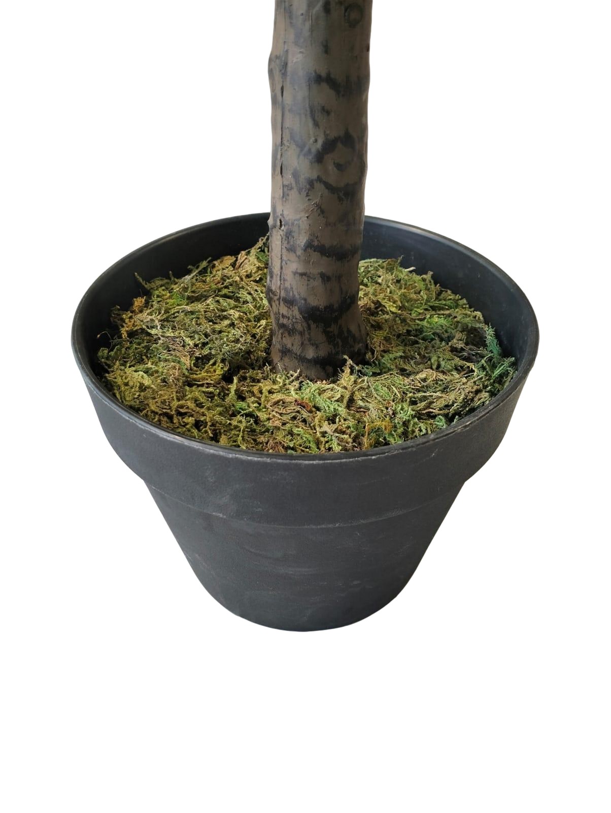 Artificial Ficus Lyrata Plant 160cm