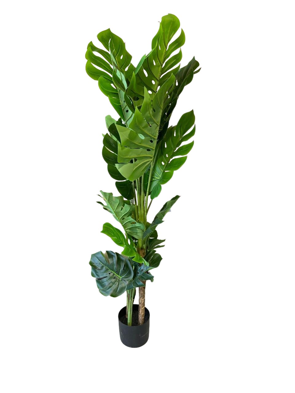 Artificial Monstera Plant 160cm