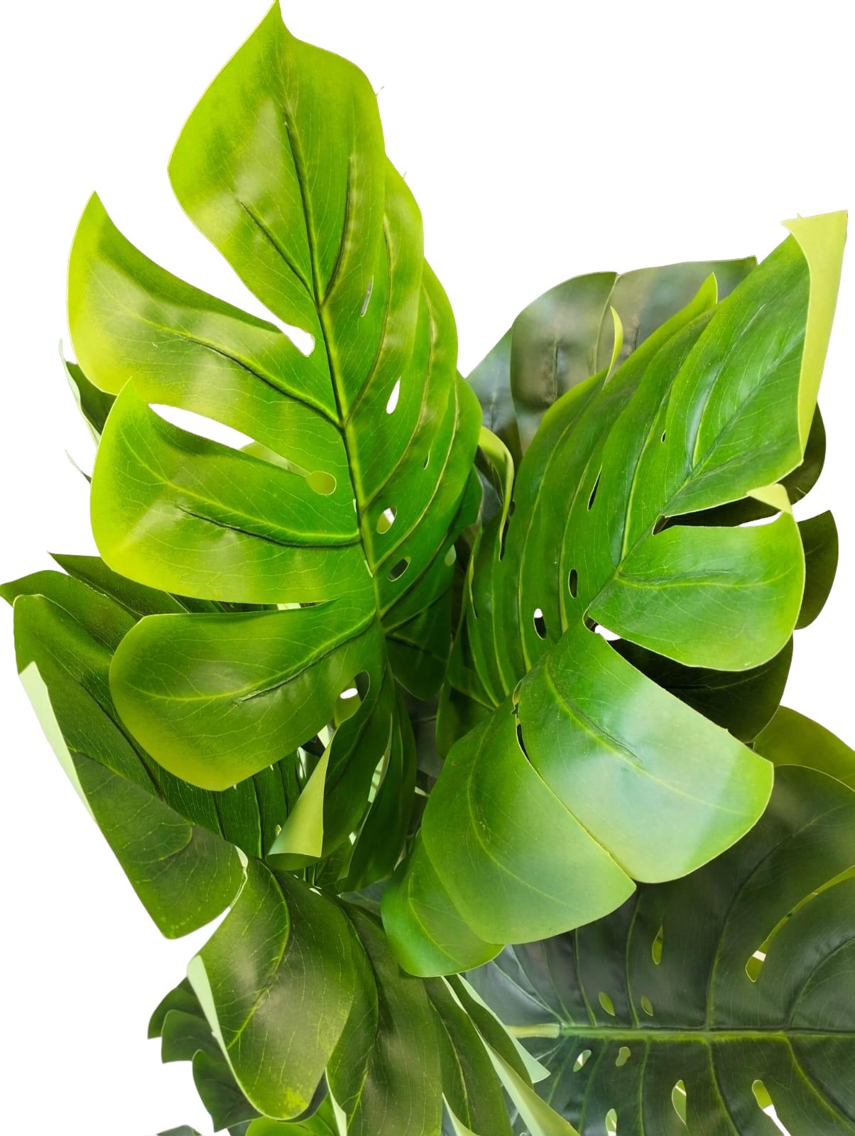 Artificial Monstera Plant 160cm