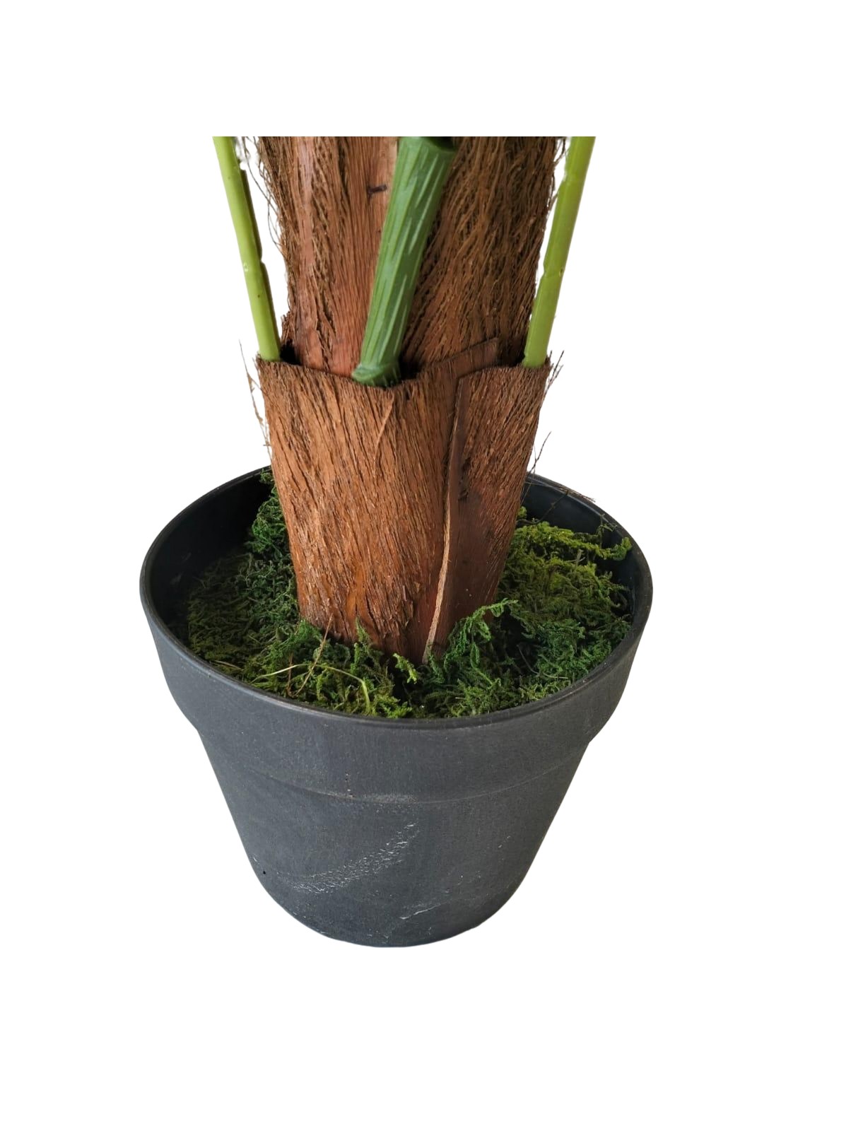 Artificial Money Plant 160cm