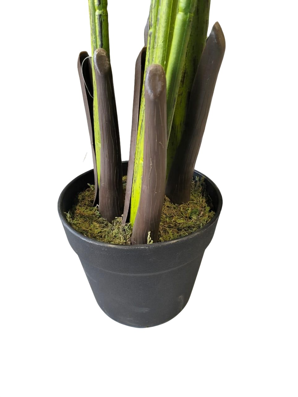 Artificial Travelers Palm Plant 160cm