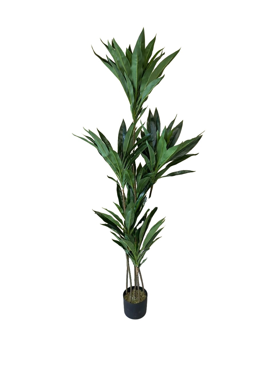 Artificial Dracena Plant 160cm