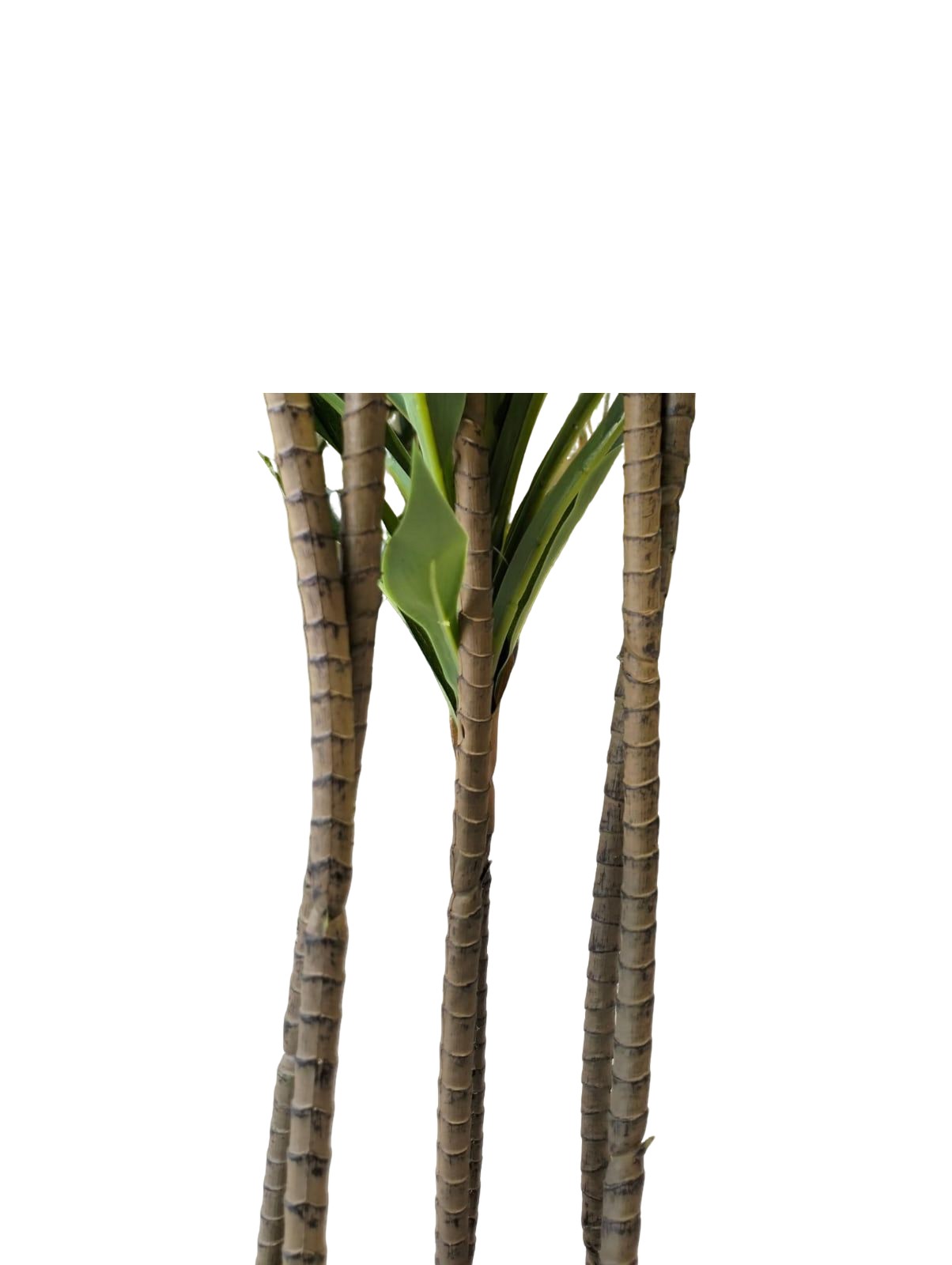 Artificial Dracena Plant 160cm