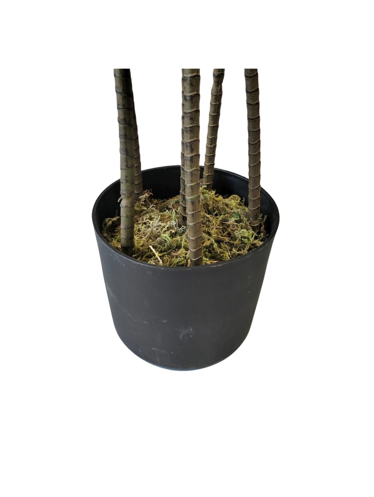Artificial Dracena Plant 160cm
