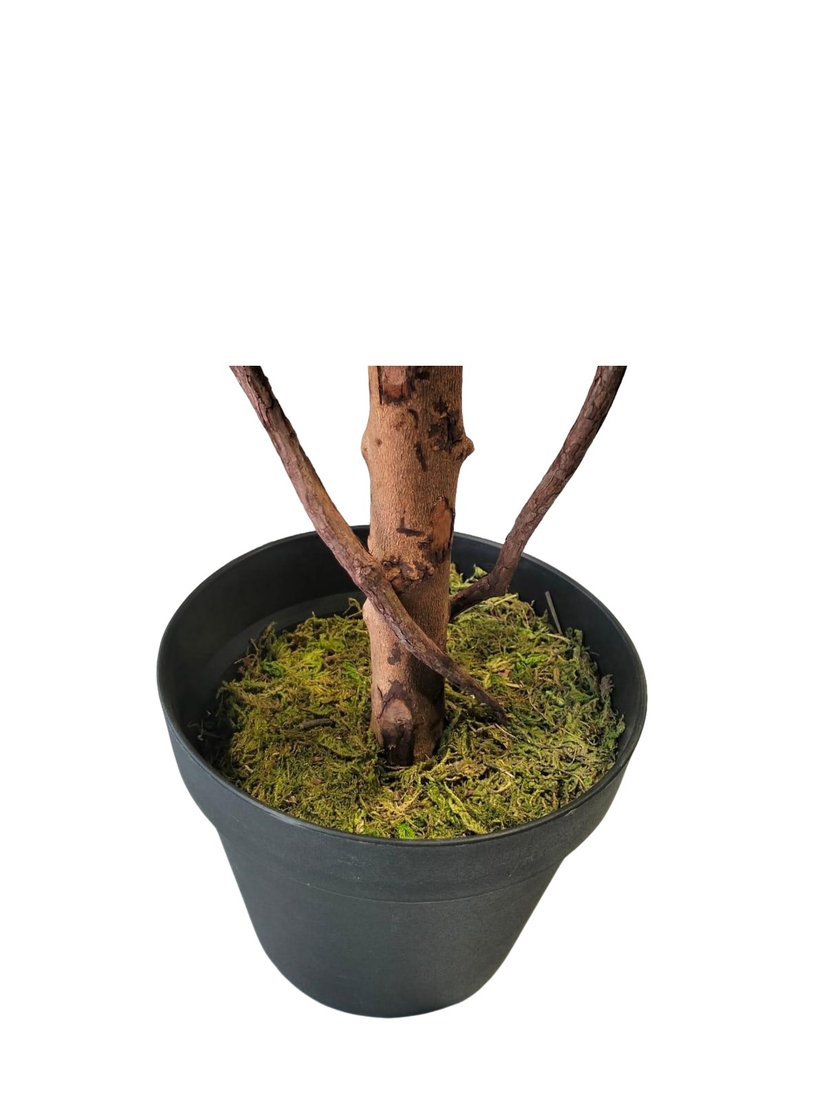 Artificial Olive Plant 160cm
