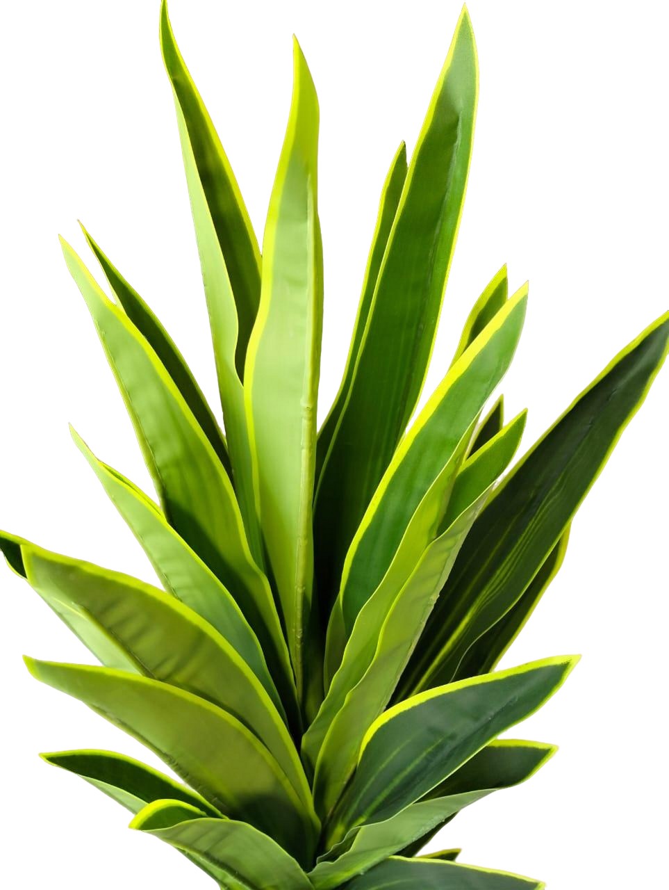 Artificial Pandanus Plant 160cm