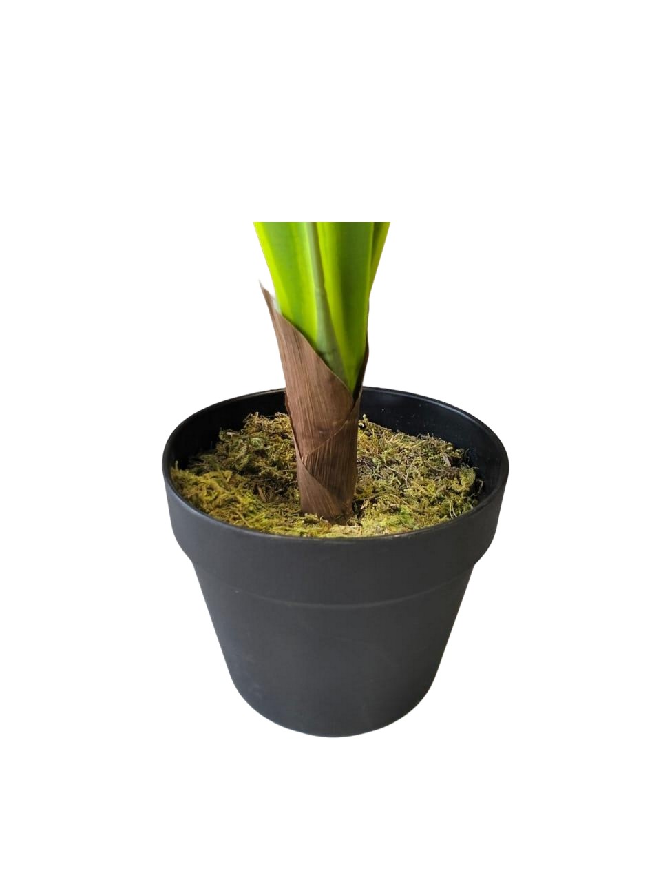 Artificial Pandanus Plant 160cm
