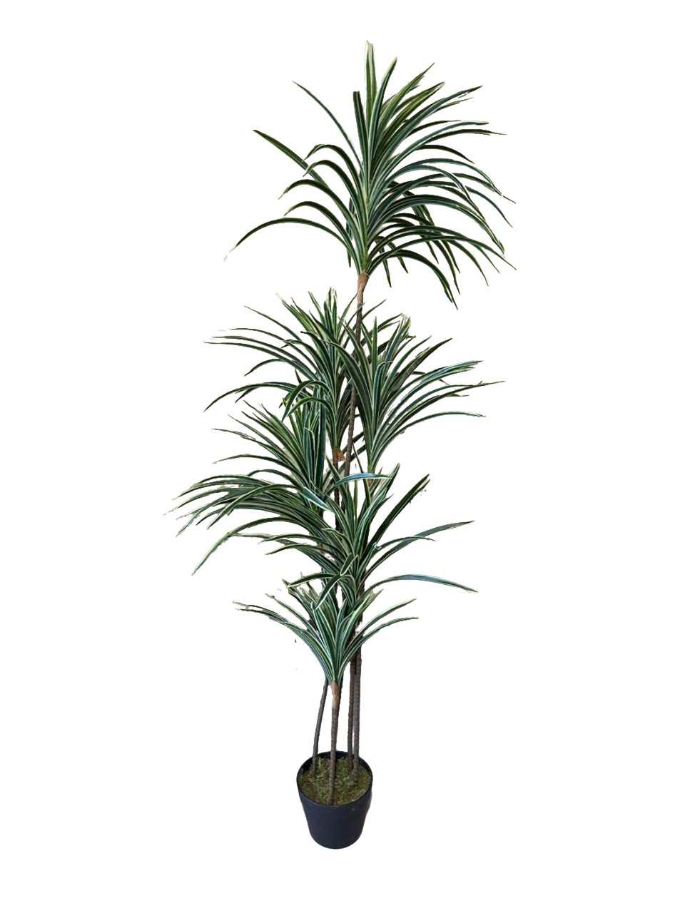 Artificial Yucca Plant 160cm