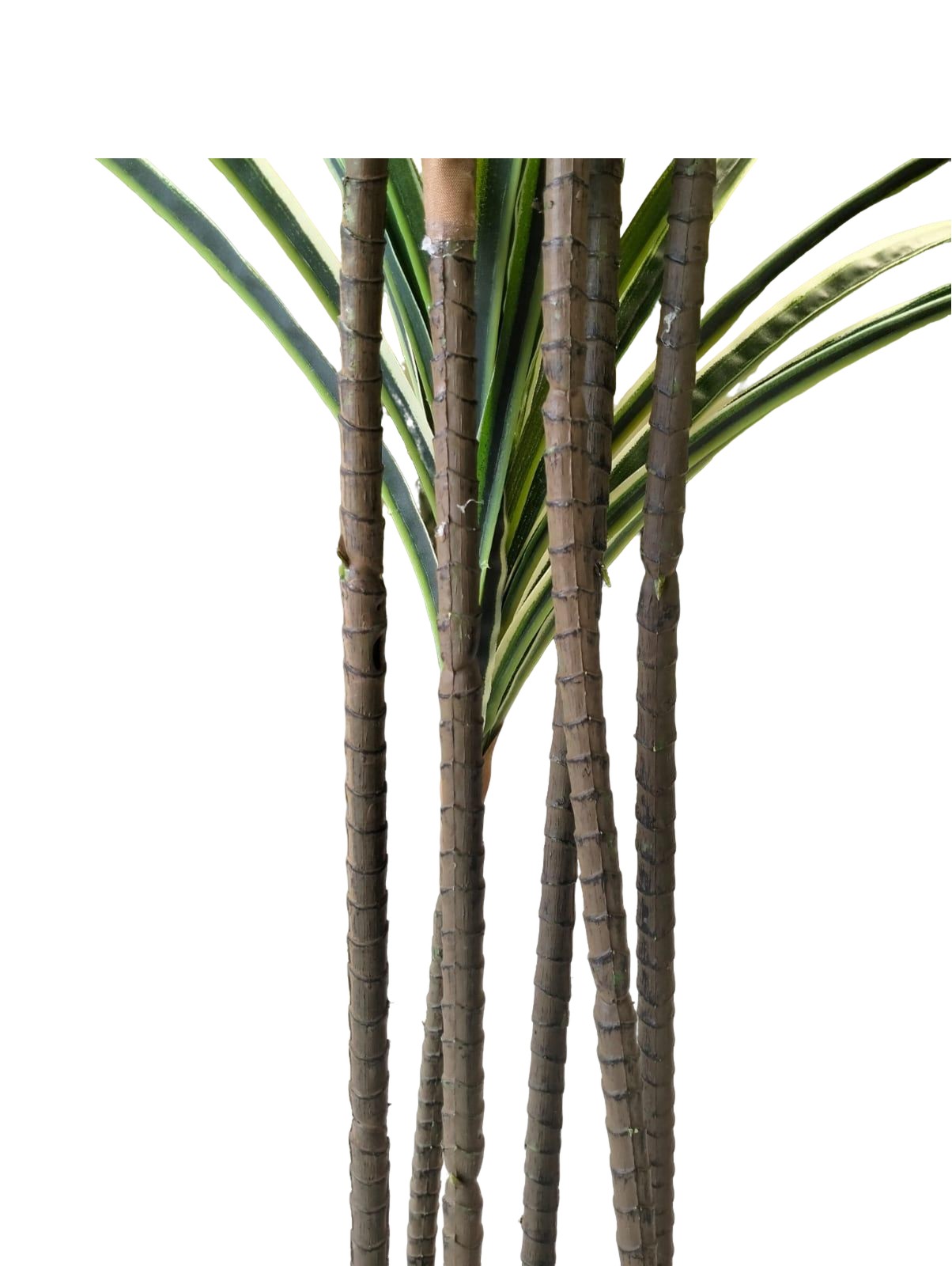 Artificial Yucca Plant 160cm