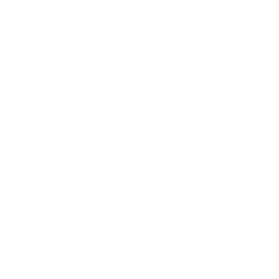 Fast 24-Hour Express Printing