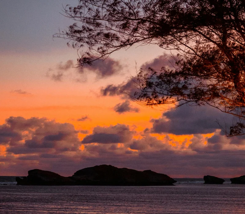 3 Days 2 Nights Festive Season Kilifi Package