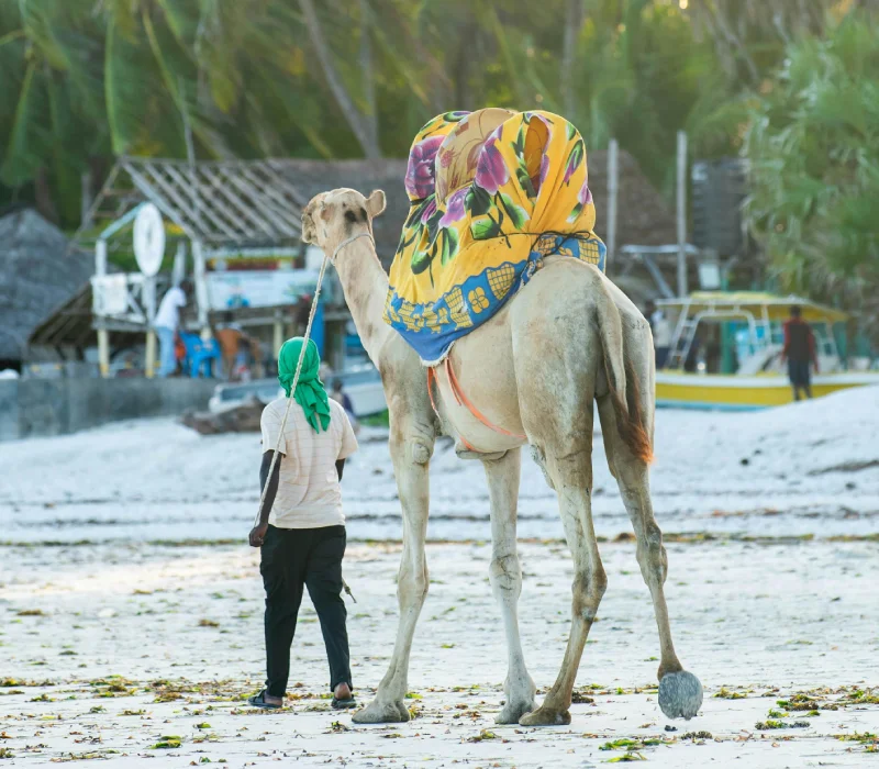 4 Days  3 Nights Mombasa Family Package