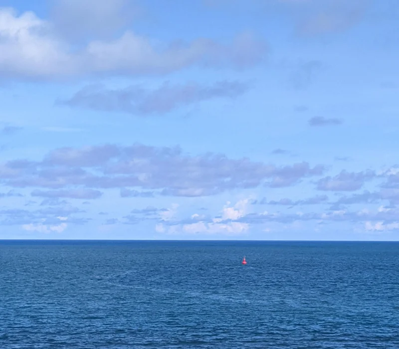 Final Morning & Departure