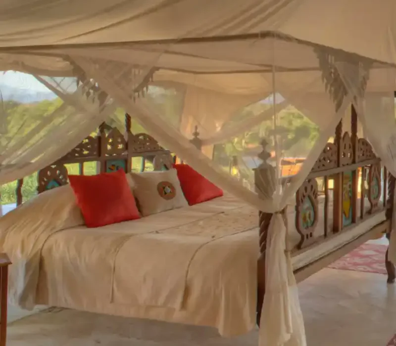 4 Days 3 Nights Sasaab Lodge Safari Package