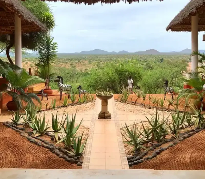 4 Days 3 Nights Sasaab Lodge Safari Package