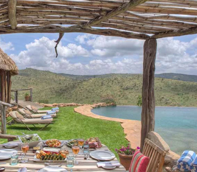 Full-Day Safari & Conservation Activities