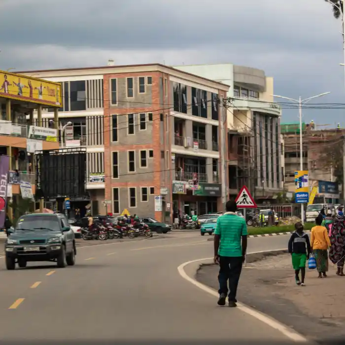 Forest Activities / Additional Exploration