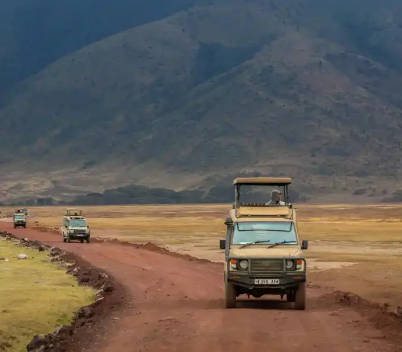 Full Day in Ngorongoro Crater
