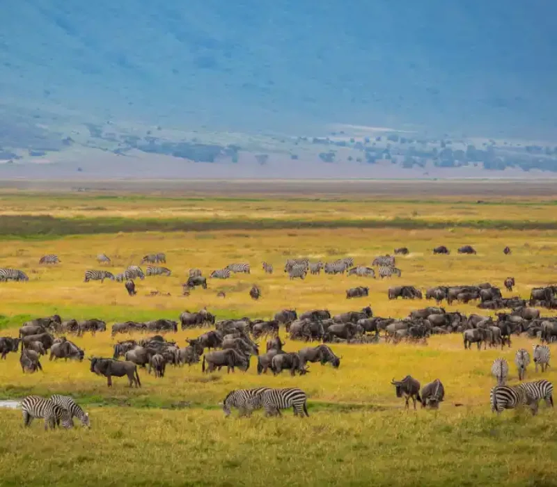 Lake Manyara to Arusha