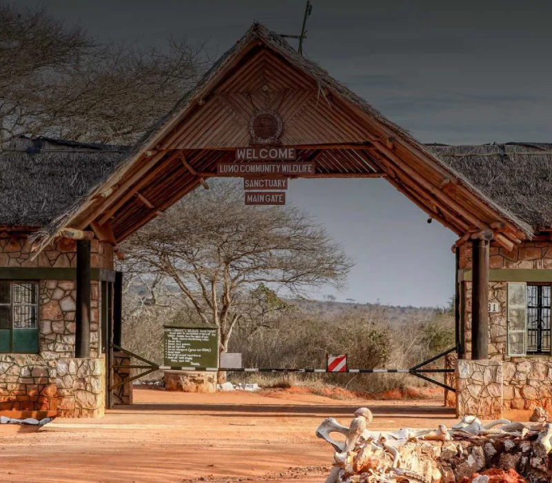 3 Days 2 Nights Lumo Conservancy Wildlife Safari